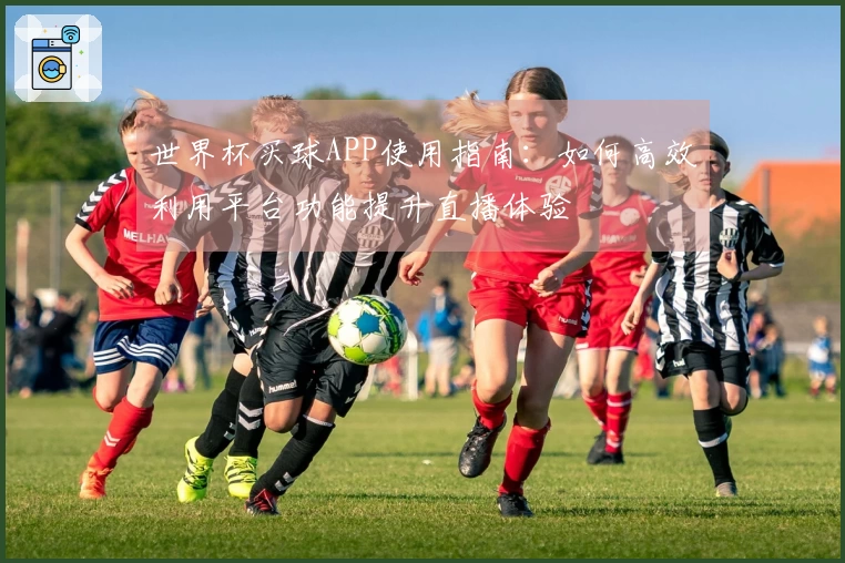 世界杯买球APP使用指南：如何高效利用平台功能提升直播体验