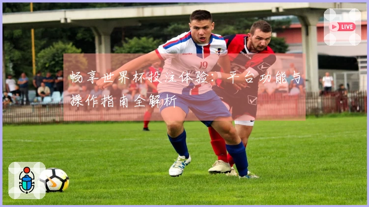 畅享世界杯投注体验：平台功能与操作指南全解析