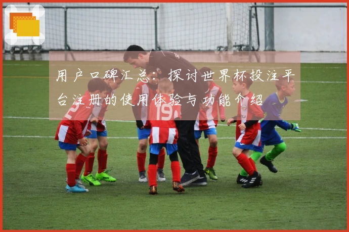 用户口碑汇总：探讨世界杯投注平台注册的使用体验与功能介绍